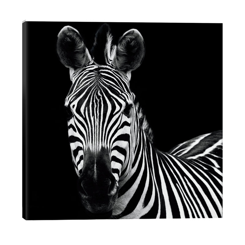 Zebra II by Debra Van Swearingen - Wrapped Canvas Print, 66.04 cm H x 66.04 cm W x 3.175 cm D