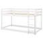 Lit simple superposé simple au-dessus d'un lit simple avec échelle, blanc-236801527