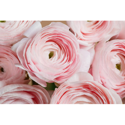 Beautiful Bouquet - Photographie sur toile tendue