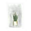 Art sur toile, plante Nicky Levi-104118879