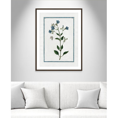 Colombe Shabby Elegance Botanical II - Art encadré
