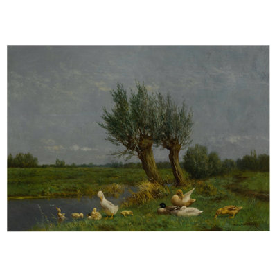 A Duck Family In A Meadow
