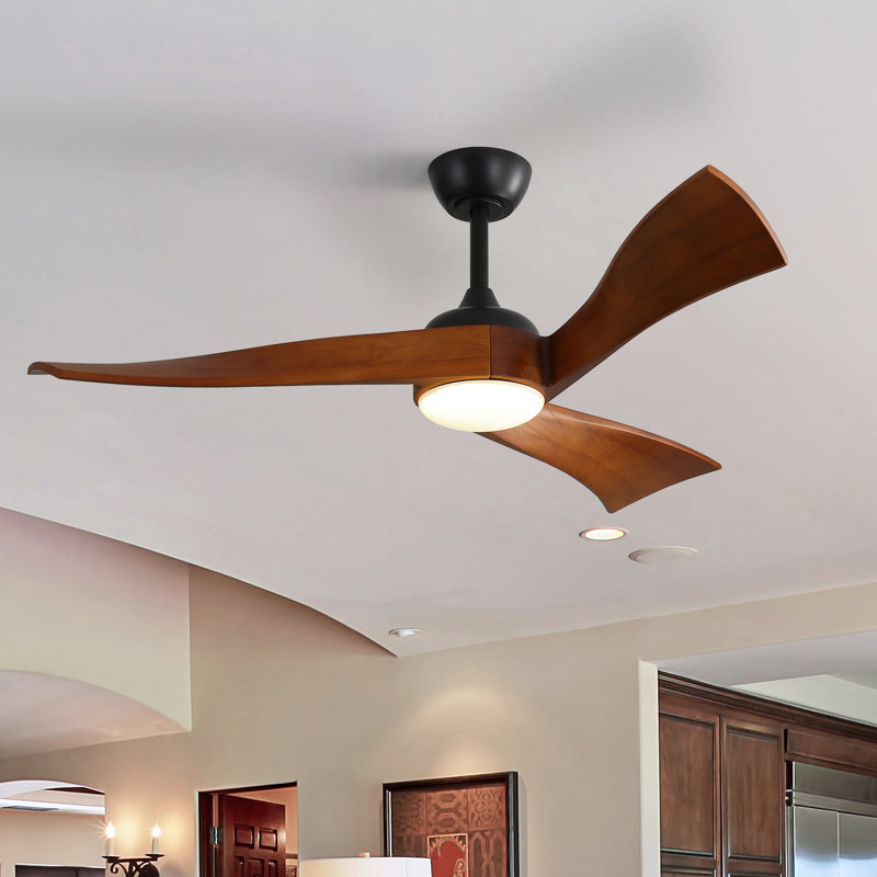 Ceiling Fan with LED Lights