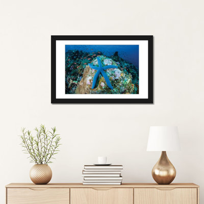 «A Blue Starfish Clings to a Coral Reef in Indonésie», reproduction de photo sur toile
