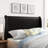 Amaaima Sleigh Headboard-24113100