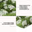 Outdoor Cushion-1155012504