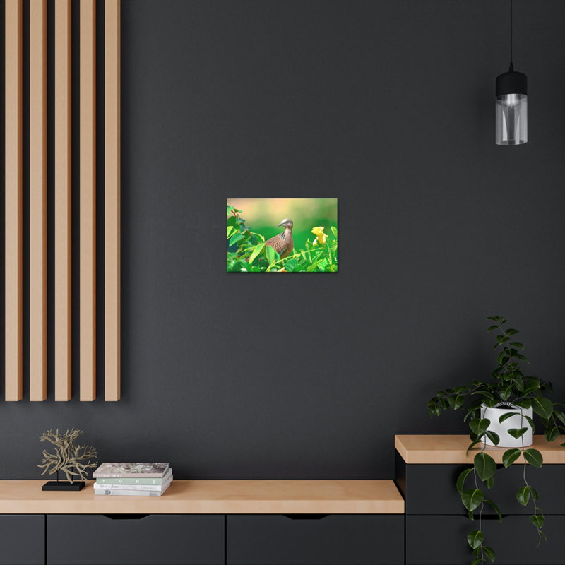 Art mural zèbre colombe sur une plante avec une fleur, H 18 po x l 24 po