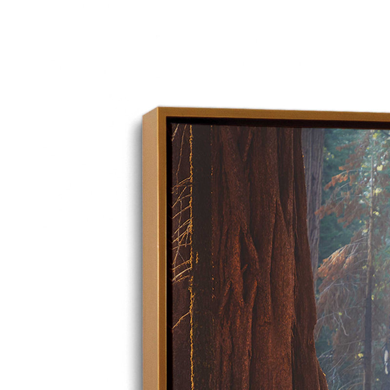 «Deer at the séquoias I» par Martin Podt, reproduction d'art, 48 W x 32 H, Gold, Framed Canvas