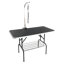 Table de nettoyage pour animaux