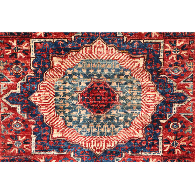 Aryana Wool Oriental Area Rug in Red/Blue/Azure