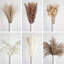 117 bouquets d'herbes de pampas séchées 117 pièces, décorations de table bohème, fleurs de lapin séchées, pompas brunes, herbes de pampas blanches pour mariage, maison, fête rustique, décorations de fête de naissance