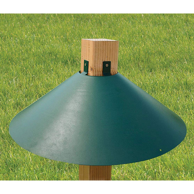 Green Metal Wrap Around Bird Feeder Squirrel Baffle Guard
