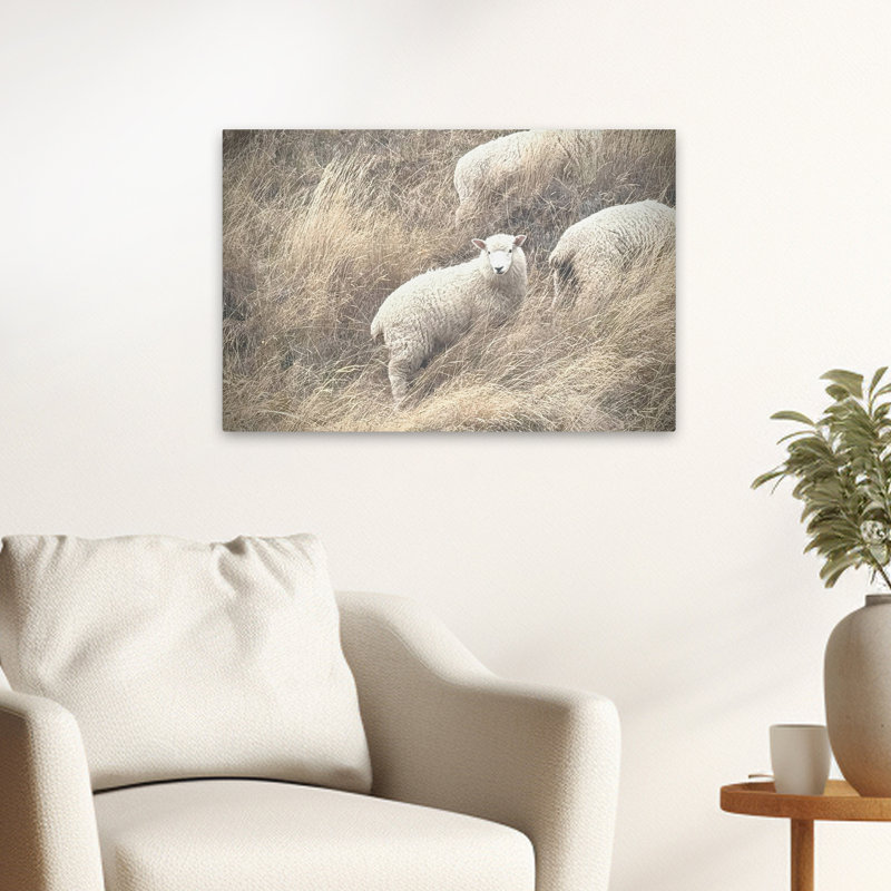 Sheep and Nature Highland Grace Art, H 16 po x l 24 po