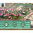 Outdoor Planter Garden Boxes Raised Garden Bed-921692358-921692376