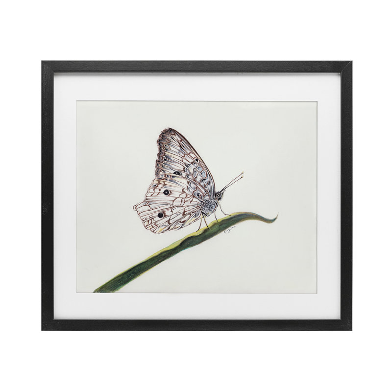 «Intricate Butterfly on Twig», reproduction encadrée sous verre, conception de Cady, Cadre noir minuit, H 17 po x l 21 po
