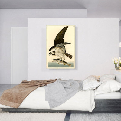 «Fish Hawk Osprey» par James Audubon, reproduction d'art sur toile tendue