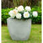 Jardinières en pot-420575516