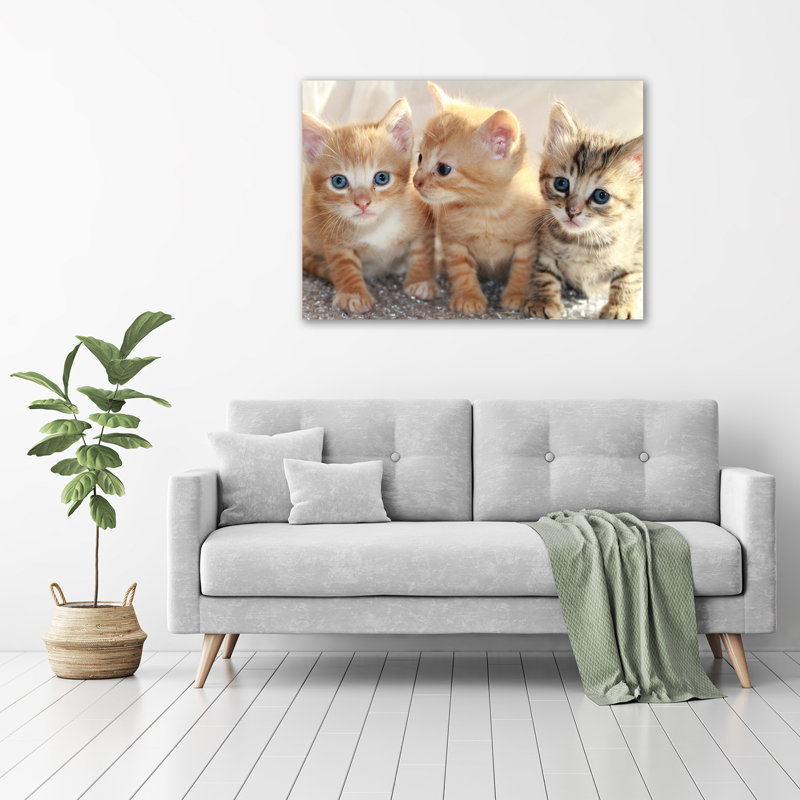 Small Cats - Wrapped Canvas Print