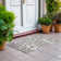 Malek Animal Print Indoor Rug