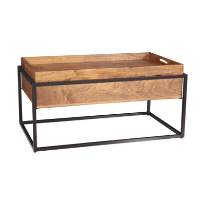 Lehoux Frame Coffee Table with Storage