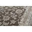 Nirvana Oriental Area Rug in Brown/Beige