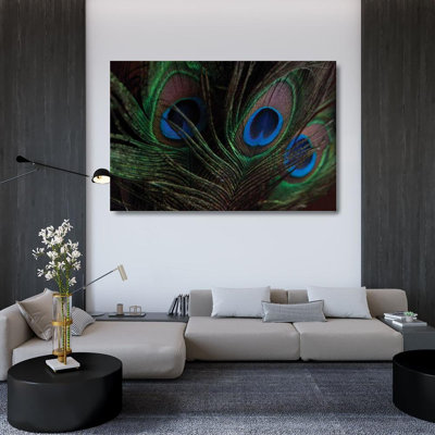 «Red Barrel Studio® Berzel», art sur toile tendue par Erin Gallery: Peacock Feathers I