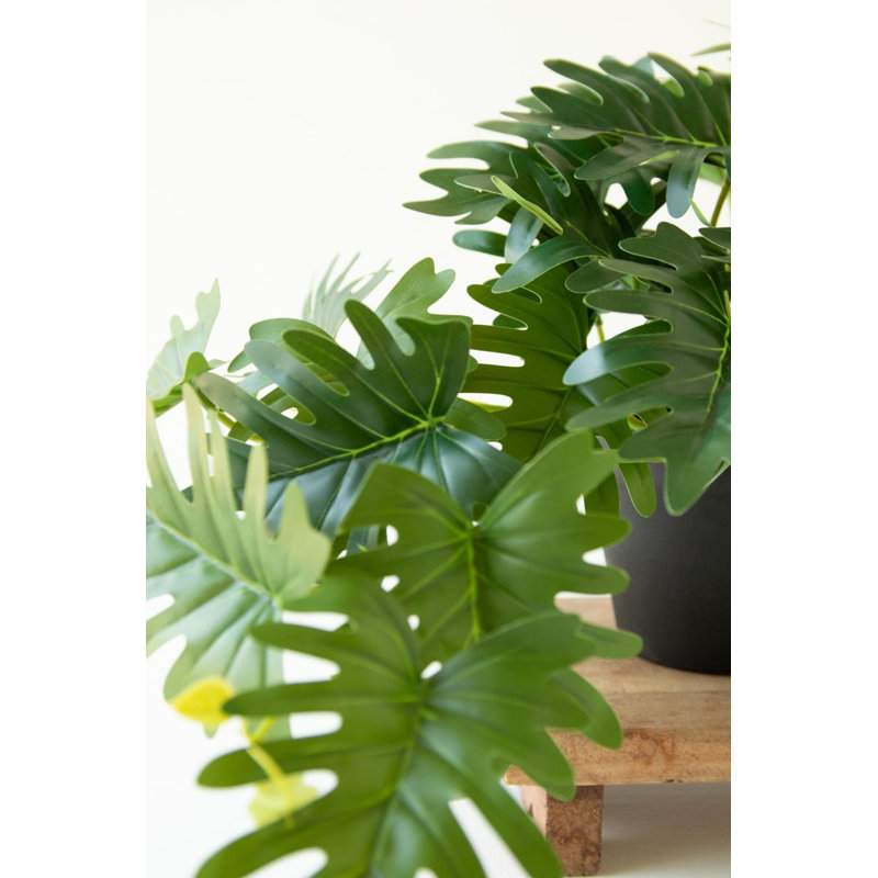 Mini-philodendron artificiel dans un pot en plastique noir