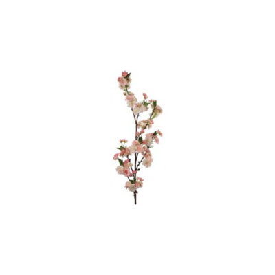 Arrangement de fleurs de cerisier