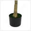 Olive artificielle avec pot-1631018582
