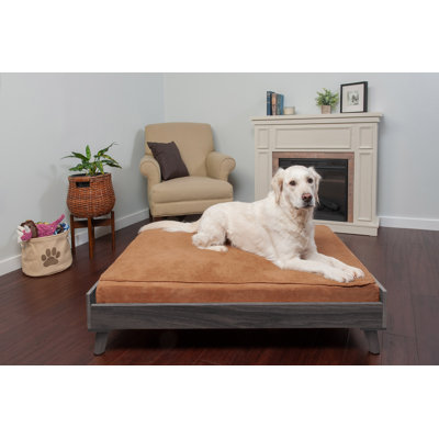 Elevated Dog Bed Frame for Pet Beds