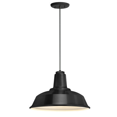 Luminaire suspendu pour dôme simple 1 lumières Chisholm