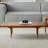Simple boxwood solid wood coffee table