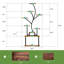 Plant Stand