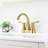 Centerset 2-Handle Bathroom Faucet with Drain Assembly-49918579