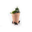 Kia Weather Resistant Planter Feet
