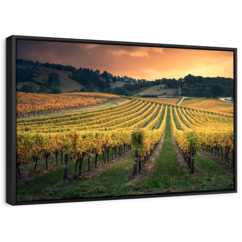 Impression sur toile Golden Golden Vineyard, H 9 po x l 13 po