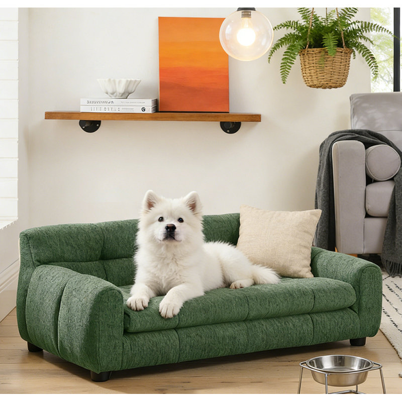 Elevated Dog Sofa Bed Pet Sofa, Green