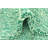 Mosser Green Rug