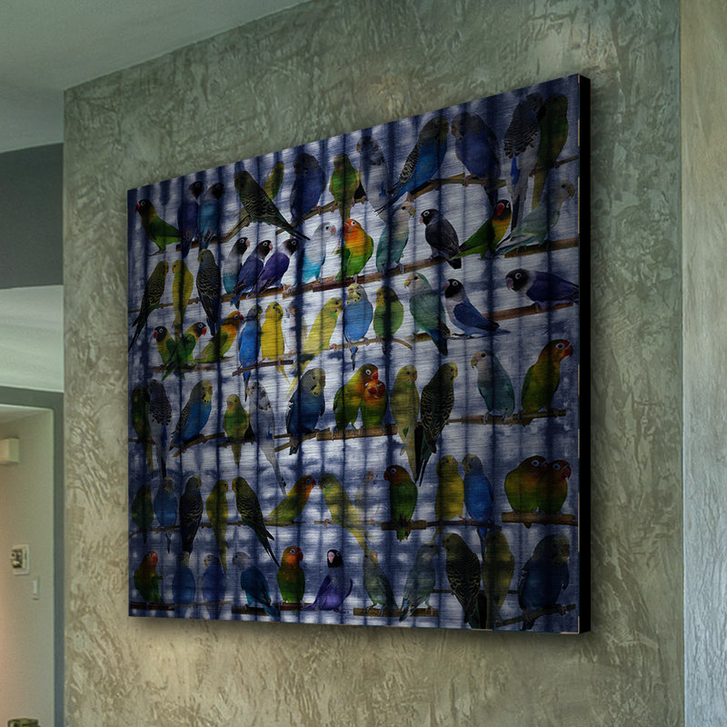 « perruches cachées derrière le bleu » par parvez taj, reproduction d’art sur métal, H 24 po x l 24 po x P 1,5 po