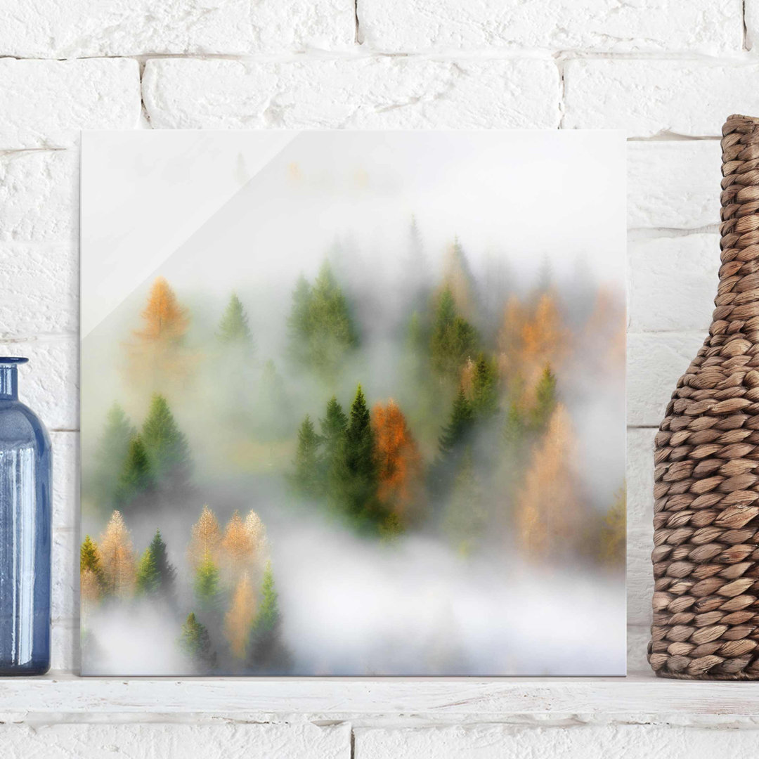 Glasbild Nebelwald im Herbst