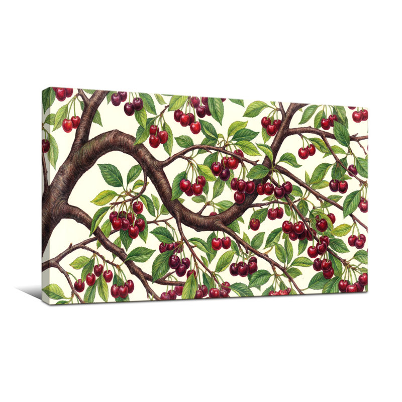 Plantes et fleurs branches de cerisier avec baies et feuilles, H 24 po x l 48 po