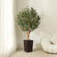 Adcock Artificial Olive Tree with Decorative Pot, UV Resistant Faux Olive Tree with Natural Trunk-700034063-700034058