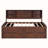 Alisse Daybed