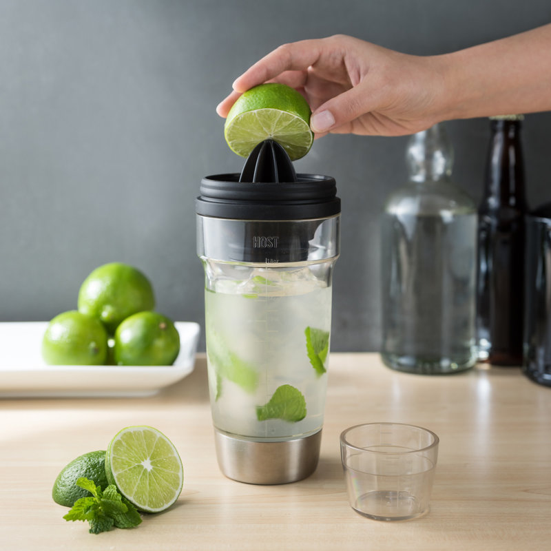 Stainless Steel and Clear All-in-One Cocktail Shaker Set