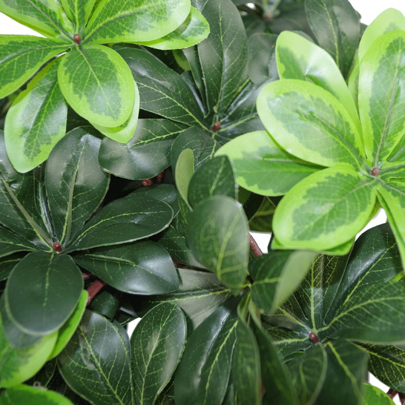 Anjeli 40cm Faux Foliage Plant in Pot