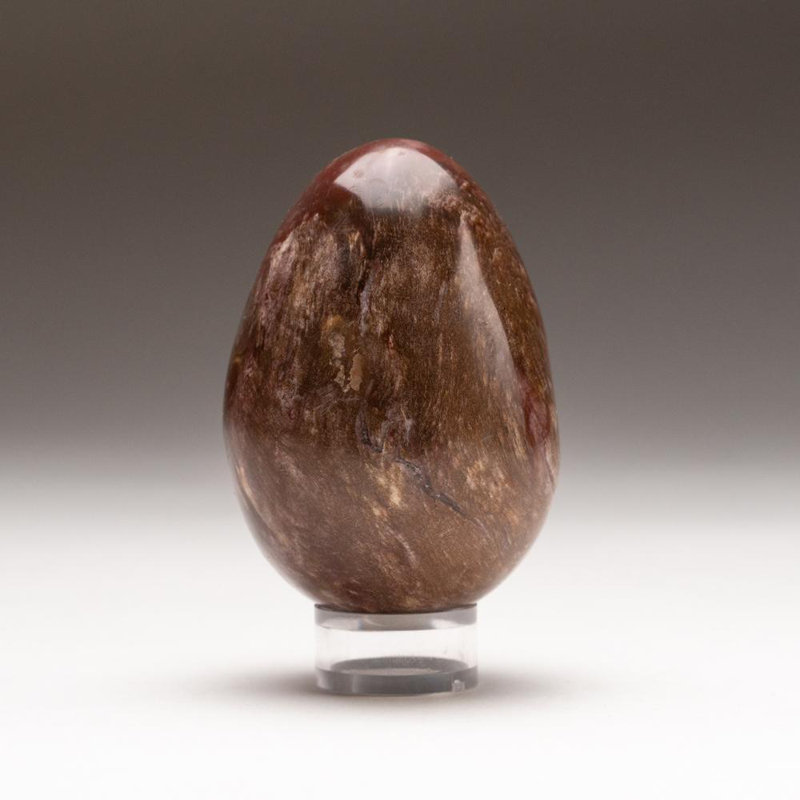 Petrified Wood Egg, Orange/Yellow/Brown, 3" H x 2" W x 2" D