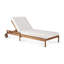 Jack Outdoor Chaise Lounge Cushion-63925718