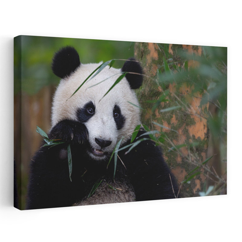 Reproduction d'art mural panda mangeant du bambou paisible serein abstrait, H 16 po x l 24 po