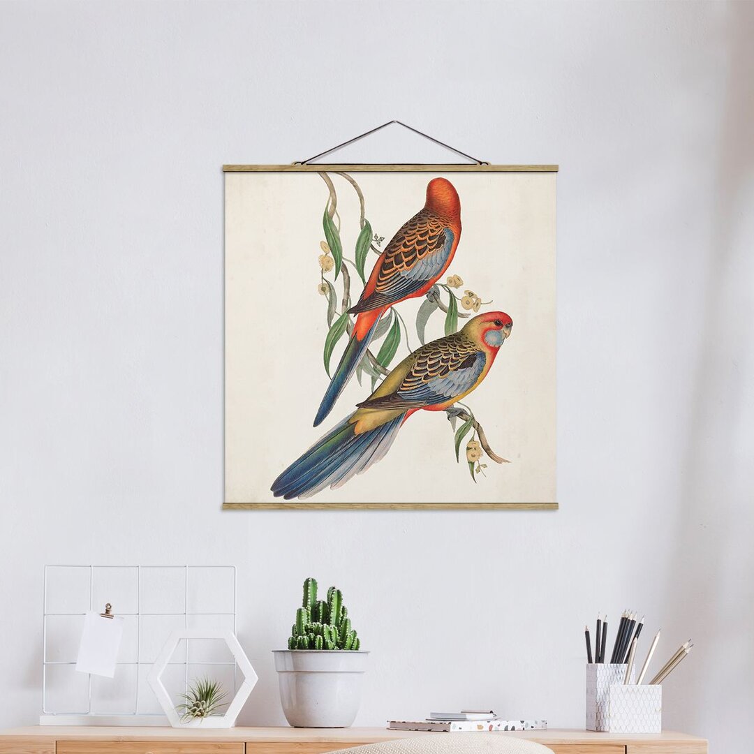 Kunstdruck Tropical Parrots II