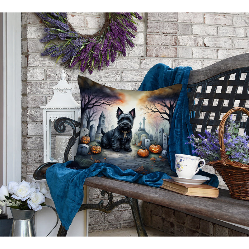  Coussin décoratif intérieur / extérieur en polyester Autre / Sans motif, 18 po x 18 po
